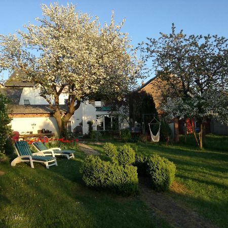 Fewo Thul Plein Екстериор снимка